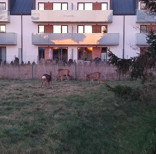 Luxholiday Apartmán *